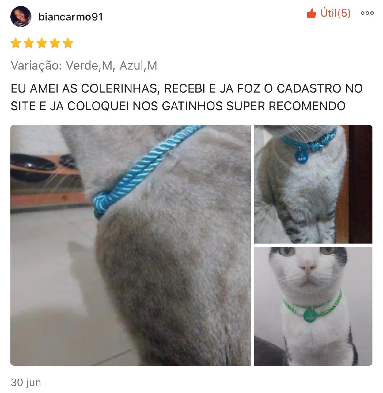 Imagem 3
