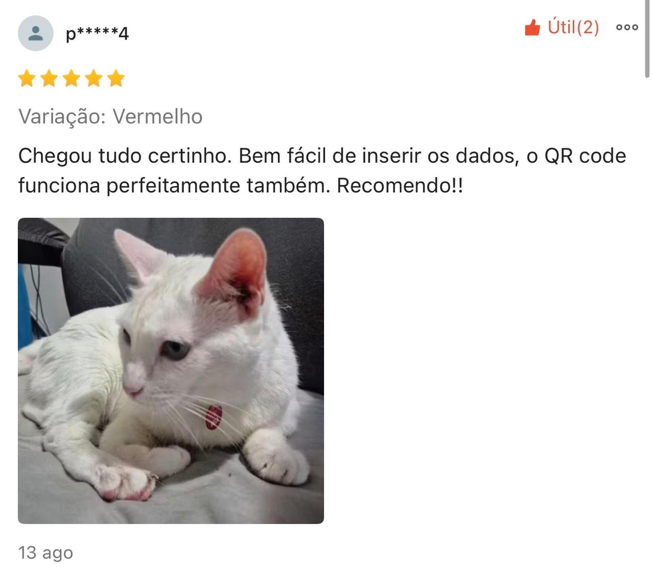 Imagem 6